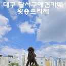 왓숑미용 이미지