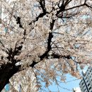 개금2동-6 | 부산 개금 몽짬뽕 솔직한 후기?