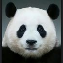 미남상회 이미지