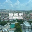 일산 타로 사주 정담원타로명리 후기!