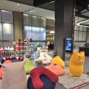 롯데화성세탁 | 롯데백화점 동탄 요기보 매장 팝업 방문 후기, 편안한 빈백소파 빈백추천