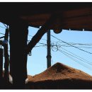 동양약국 이미지