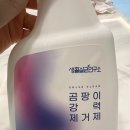 생활환경연구소 | 생활살균연구소 곰팡이 제거제, 찐 사용 후기 공개!
