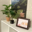 온더베이스뮤직스튜디오 네이버블로그