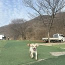일영모자농원캠핑장 | 일영 모자농원캠핑장 후기