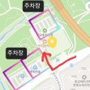 동탄 여울공원 풋살구장 | 수원 가볼 만한 곳 광교호수공원 주차장, 피크닉, 산책로 완벽 정리