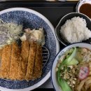 코지 앤 슬로우 | 딜레이 릴레이 슈게이즈 페스티벌 2025 1/18 (코지앤노이지/나로틱/아이러닉 휴/서울매직클럽) 후기