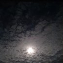 욕지도 하늘정원 이미지