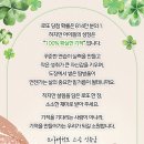 조아태권도 이미지