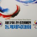 제17회 전국장애인 동계체육대회 The 17th National Winter Para Game 이미지