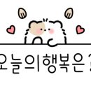 레드포스PC아레나 이매점 이미지