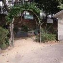 강남-177 이미지