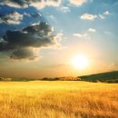 대구연합행정사사무소 이미지