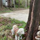 서울목장 이미지