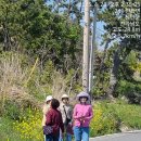 세동서와 퍼플섬 트래킹, 일림산 철죽산행을 하였습니다. ~~ 이미지