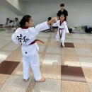 정상태권도장 이미지