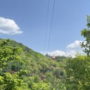 카페좌구산 다나우토바 이미지