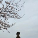 마이리커피로스터스