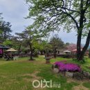 왕궁가든 이미지