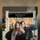 K팝 팬 X살 사건 이미지