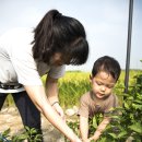 주완농장 이미지