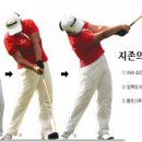 럭키 골프 클럽 이미지