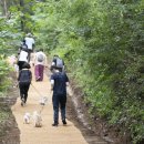 산림복지진흥원 &#34;반려동물과 함께 숲여행 떠나요&#34; 이미지