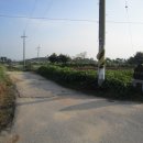 연곡입구  연곡마을 이미지