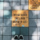 차례원 네이버블로그