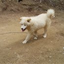 자룡농장 이미지