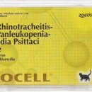 검암동물병원 이미지