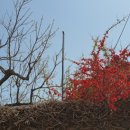 수치 선착장 이미지