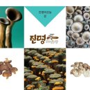 진명농장 이미지