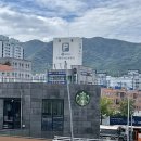 스타벅스커피 동해DT점 | 스타벅스 금정구청DT점, 아이스커피 베트남원두 후기