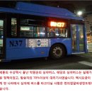 새벽 N37 심야버스 텅텅빈체 운행중입니다. 이미지