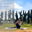 성북녹십자약국 | 동소문동2가요가 마이요가샬라 성북점 추천
