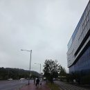 리뷰] 빗속의 뜨거운 열정! 김포FC vs 충남아산 직관 후기 (ft. 솔터구장 푸드트럭, 프리미엄 W석 시야)