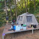 숲속의 쉼터 이미지