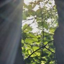 논현포대근린공원(축구장) 이미지