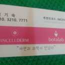 인셀덤 서울본부 안성
