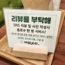 대화메밀부침 이미지