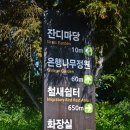 태화강 철새공원 이미지