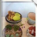 이인도예 이미지