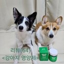 본아페티 | (강아지 영양제 추천)본아페티 릴렉스 바이트 영양제 급여 후기