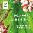 엘레멘트피부과의원 이미지