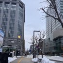 카오아시스 | 홋카이도 비에이 여행 당일 투어 스나가와 오아시스 Sunagawa Highway Oasis 휴게소 간식 추천