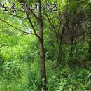 후천농장 이미지