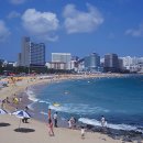 2호선 해운대역 3번출구 이미지