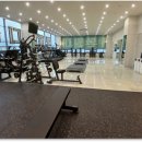 로얄바디짐 PT 백석점3호점 이미지