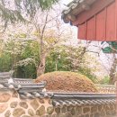 노량주차장(충렬사) 이미지